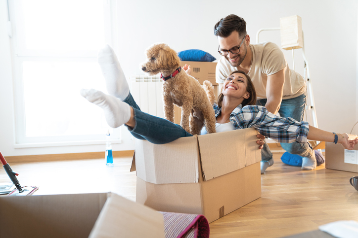 Young playful couple at their new apartment - Stock image Young playful couple at their new apartment - Stock image