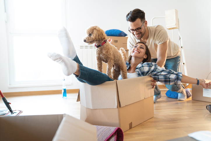 Young playful couple at their new apartment - Stock image