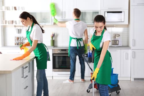 How do professionals clean houses