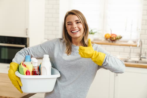 Where can I find the leading providers of house cleaning services in Apex