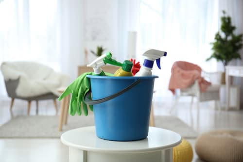 Who offers expert house cleaning in Holly Springs, NC