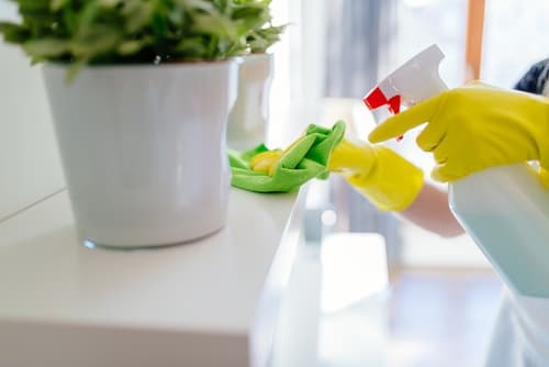 Who provides comprehensive house cleaning services in North Hills, NC, and beyond