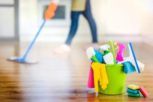 Where in Davidson, NC, can I find professional maid service