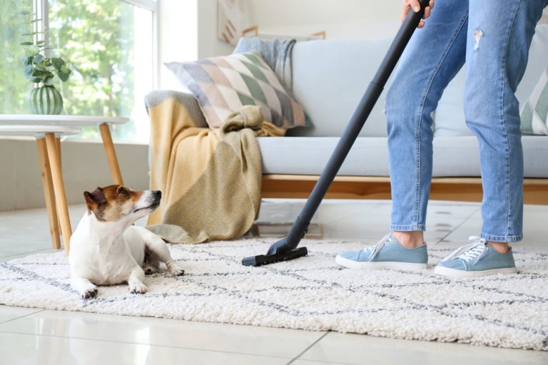 Clean a Home With Pets 🥇House Cleaning Services in Cornelius NC