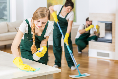 maid services in lake norman nc