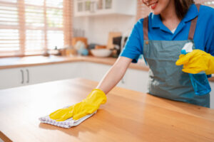 Thorough Cleaning Services