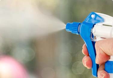 Efficient residential maid services in Apex and Raleigh NC